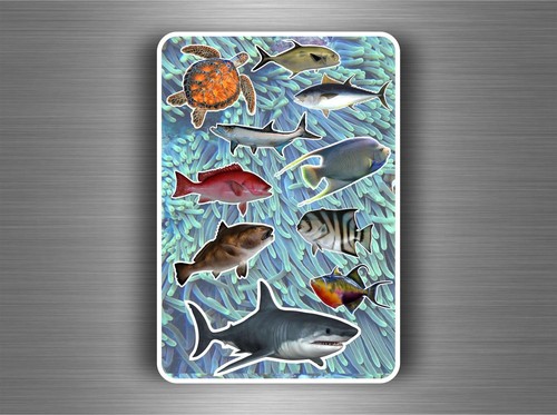 Planche gommettes - planche,