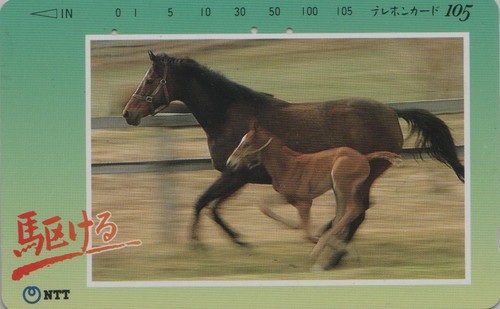 Telecarte japon animal - japon,