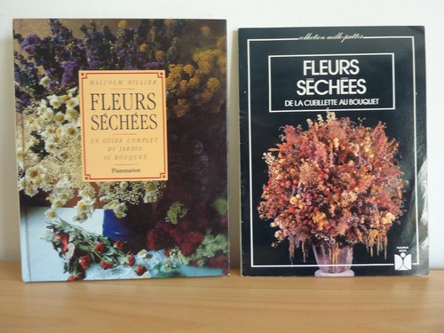Fleurs sechees lot de - fleurs, deux