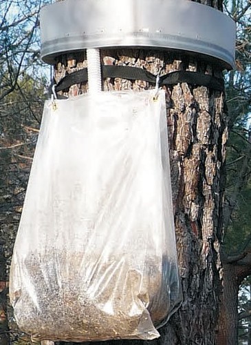 écopiège chenille - Écopiège,