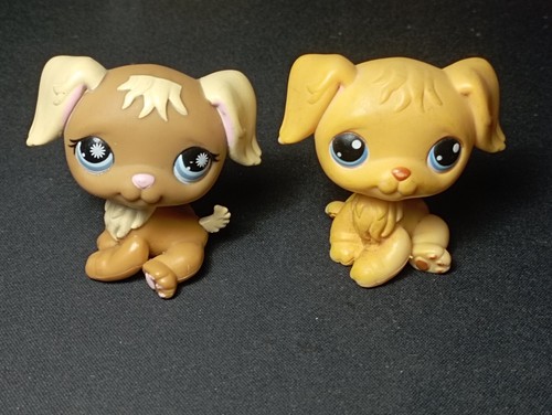 Lot littles petshop hasbro - lot, 2