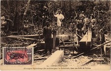 PC FRENCH CONGO DRILL ALIMA LOG FELLING FOR THE CATHEDRAL (A61713)