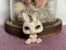 🌸 petshop lapin nain 1855