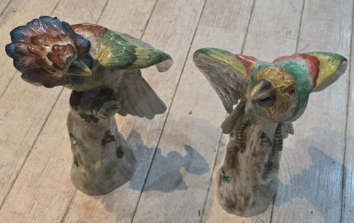 Paires perroquets perches - paires,