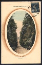 Old postcard Origny-le-Roux, Avenue du Chateau 