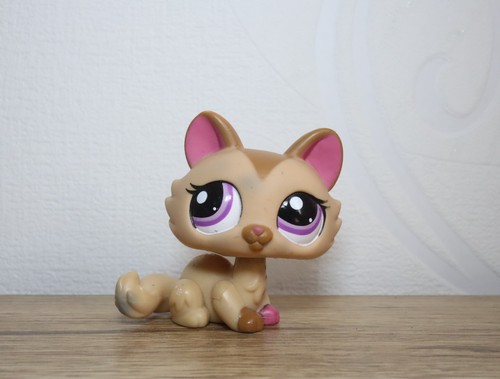 Littlest petshop cat sphynx - littlest,