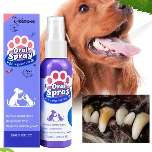 Spray soins bucco dentaires - soins, bucco-dentaires