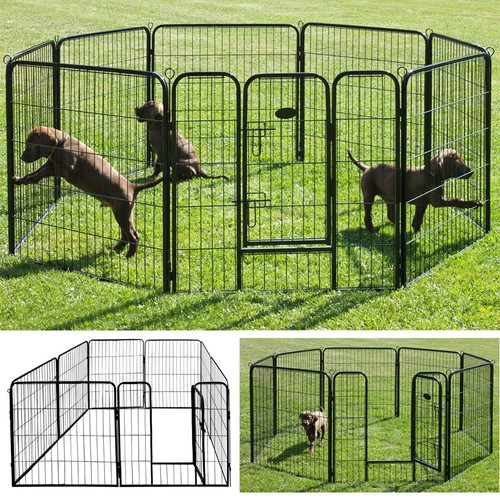 Petigi enclos cage - petigi,