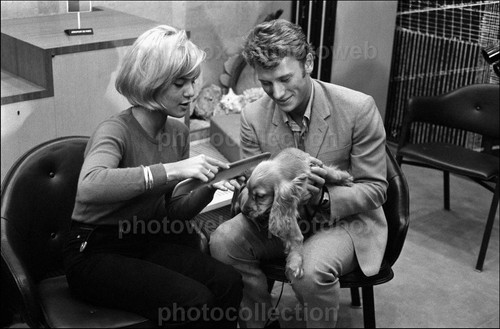 Sylvie vartan exclusive - sylvie,