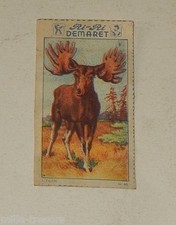 Image CHROMO RI-RI DEMARET 