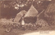 CPA 14 NOTRE NORMANDY TURKEY GUARDIAN