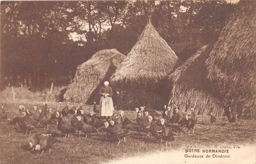 Cpa notre normandie - 14,