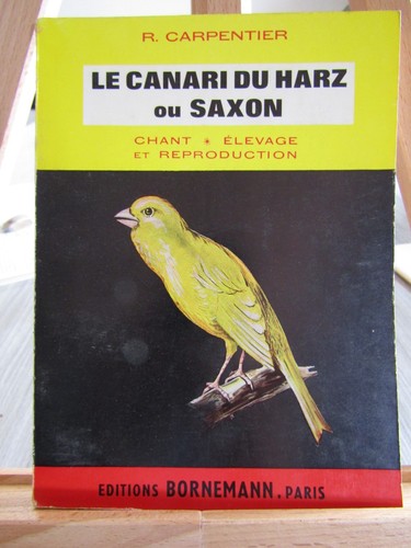 Canari harz saxon - harz, ou