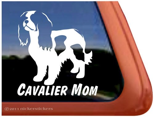 Cavalier mom - mom|,