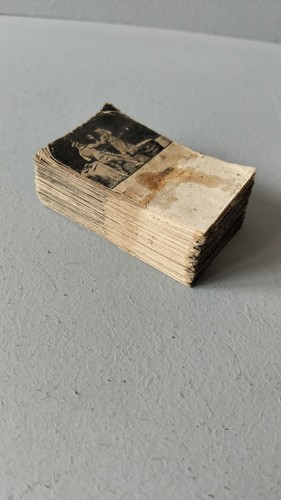 Rousselin 1900 flipbook - lj,
