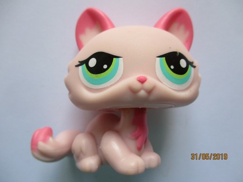 Petshop chat sphynx 1345 - petshop, n°1345