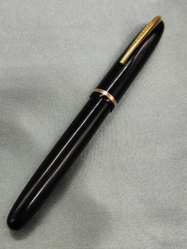 Stylo plume waterman - plume, france