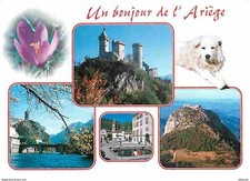 09 - Ariège - Multivues - Pyrenees Dogs - CPM - See Duplex Scans