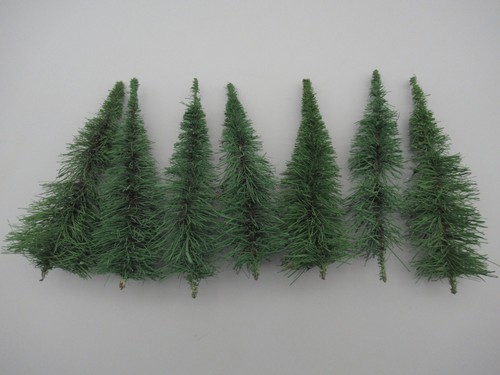 Sapins coniques sans - sans, pied