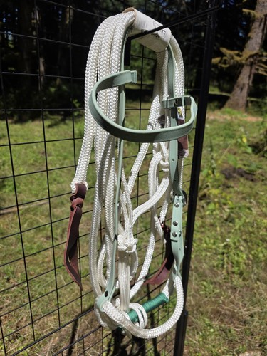 Biothane loping bridle - loping, sage