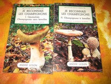 DEMANGE/GERMAIN/NOTIN: je