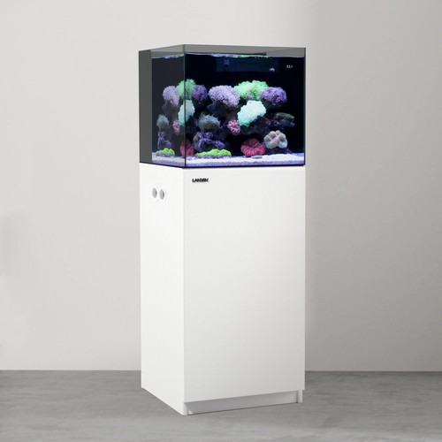 Aquarium wooden stand and - aquarium,