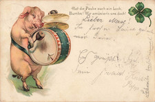 Carte postale cochon
