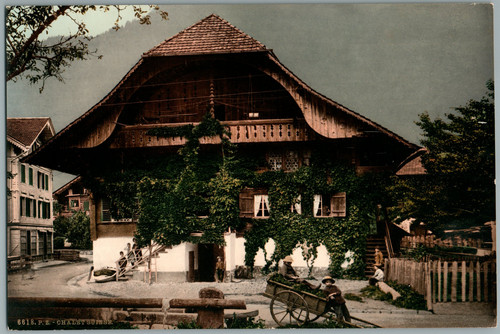 Chalet suisse vintage - suisse., p.z.