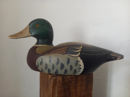 Canard colvert bois - colvert, sculpté