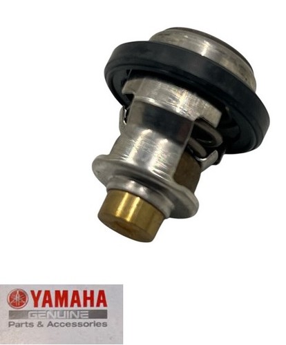 Thermostat yamaha dt - thermostat,