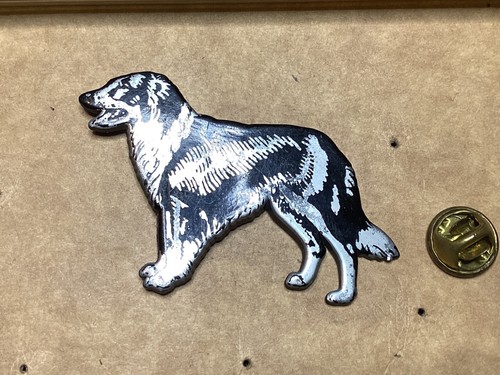 Pins border collie chien - collie,
