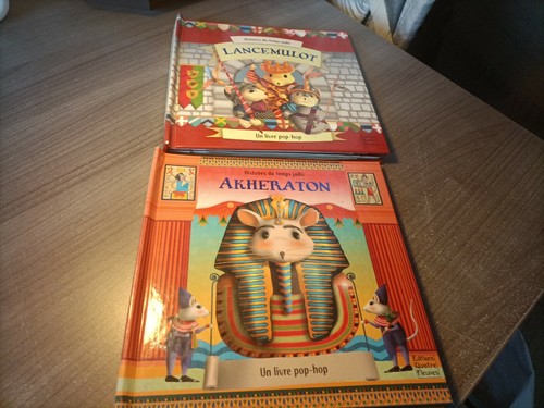 Livres histoire du - 2,