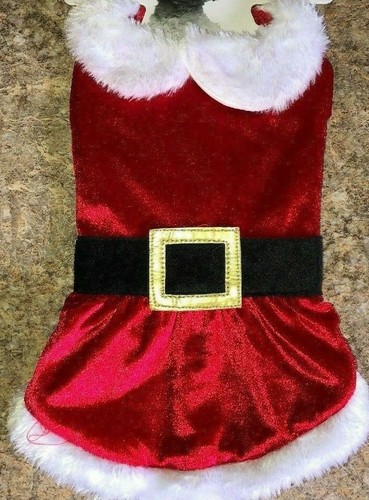 Mrs santa claus pet - claus, puppy