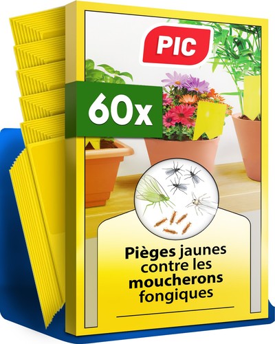 Pic anti moucherons plantes - pic,