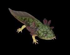 Fallout 76 - PC - Scaled