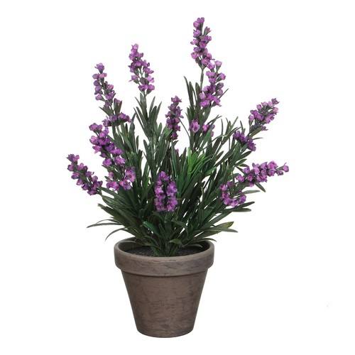 Mica decorations plante - mica,