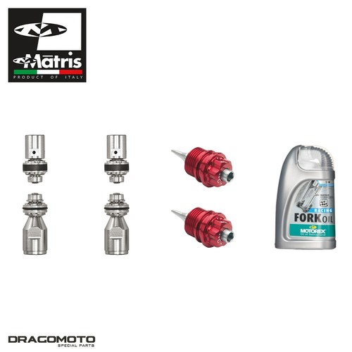 Kit fourche honda 125 gp - fourche,