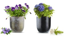 2 X Cache-Pot En Métal Pot De Fleurs Vase Pot De Fleurs