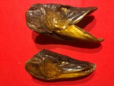TROPHEES DE PÊCHE (2 TÊTES