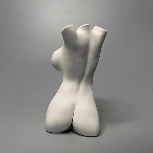 Buste sculpture art - , corporel