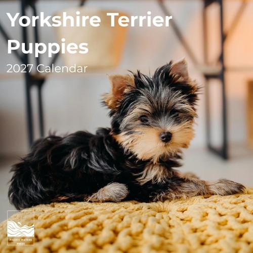 Chiots yorkshire terrier - yorkshire,