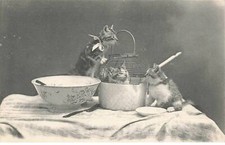 CATS AI#DC1019 THREE KITTENS PLAY IN A SALAD SPINNER A PAN