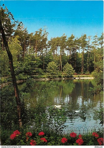 Carte postale belgique - postale,