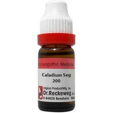Dr.Reckeweg Caladium Seg Dilution 200 Ch (11ml) Homéopathique Acheter 2 Get 1