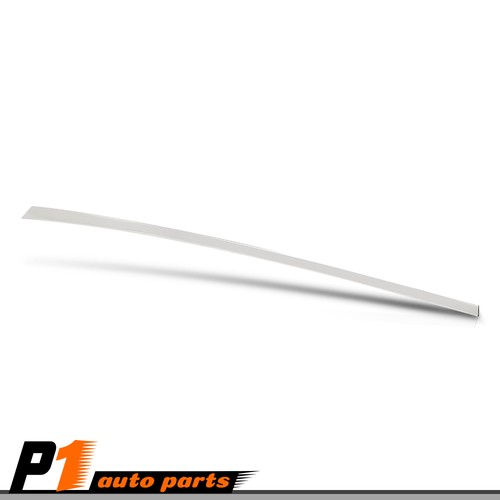 Rear door frame molding chrome - rear,