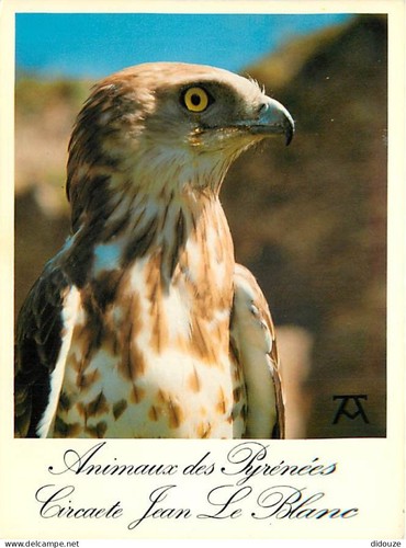 Carte postale animaux - postale,