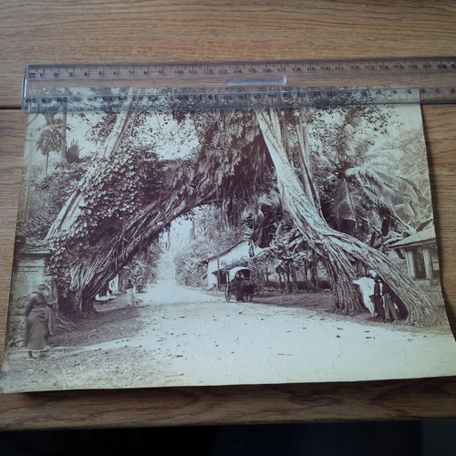 Photo ancienne java indonesie - photo,