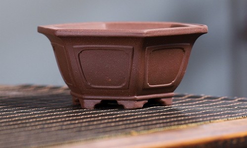 Pot bonsaï céramique - pot,