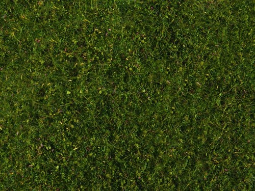 Noch meadow foliage medium - noch,meadow,