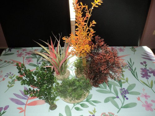 Décor aquarium lot de - lot,